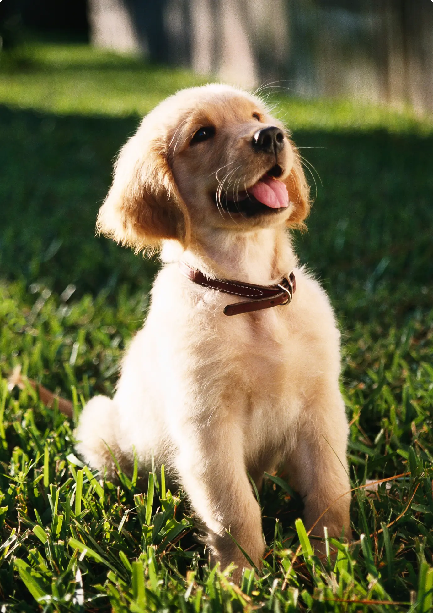 Frame 1000003521 (6)