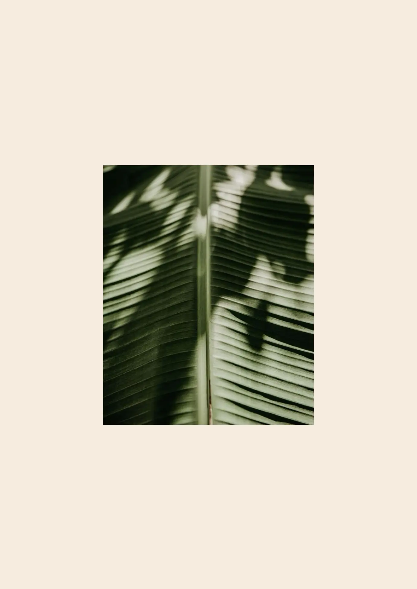 cover - 2025-04-05T111505.702