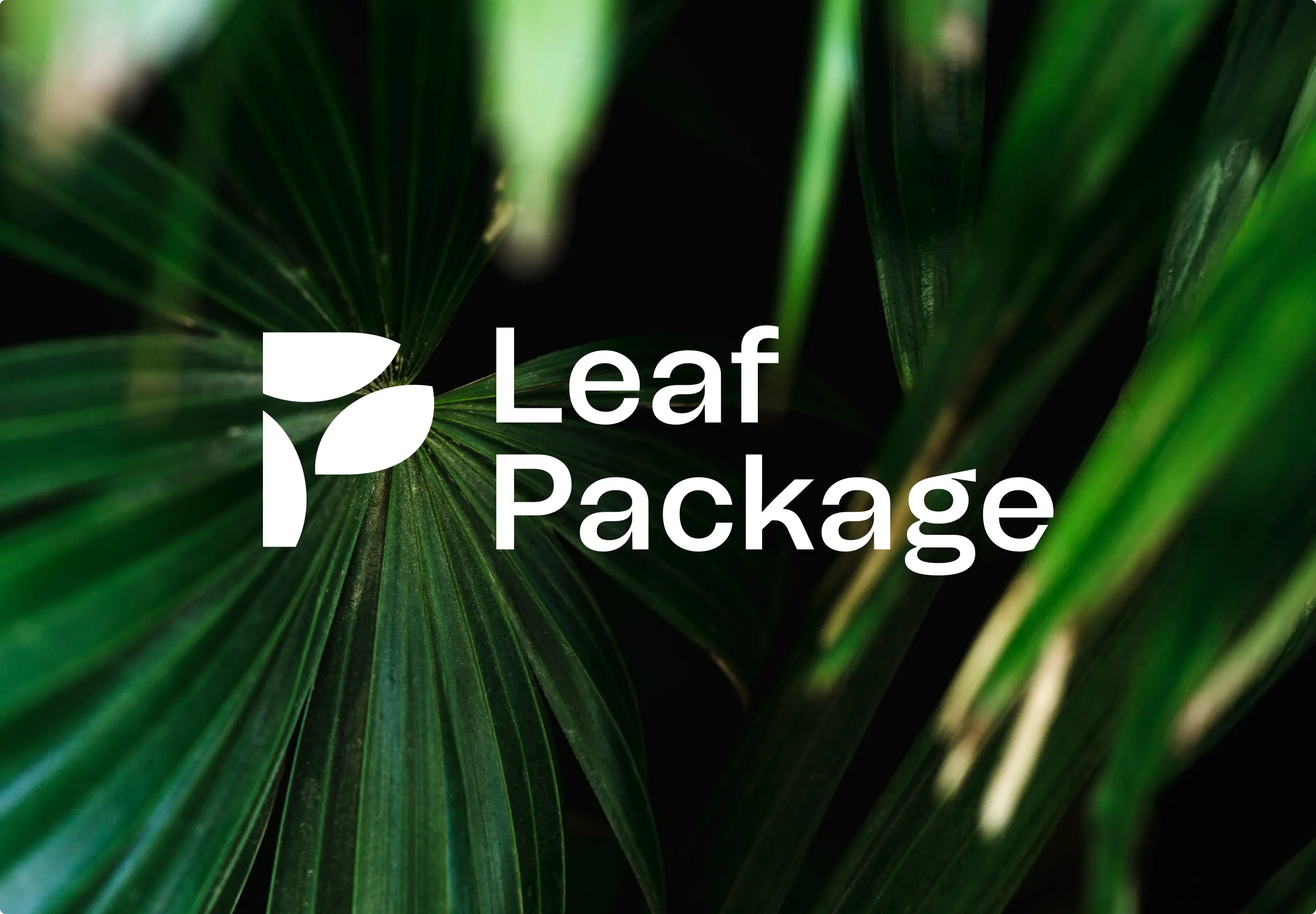 cover - 2025-11-06T095352.327